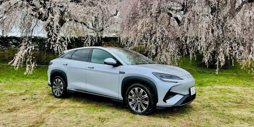 BYD EV orders surge to 'another level' overseas from energy crisis