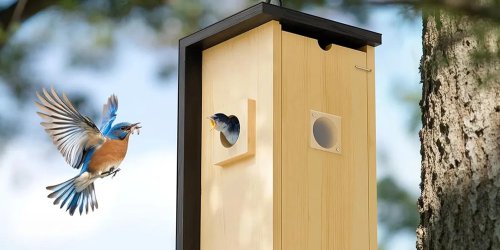 Gendome 3,072Wh Home3000 power station at exclusive new $748 low, Autel 4-cam solar security kit new $180 low, EGO, more