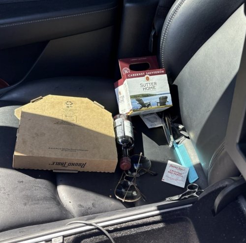 Tesla, Tesla driver passes out drunk on Autopilot — arrested for DUI
