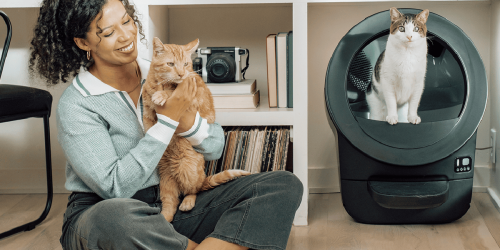 Prime Day-3 Deals: ECOVACS LiDAR Pro robot mowers back at lows, Jackery Prime Day power station sale + new releases, more