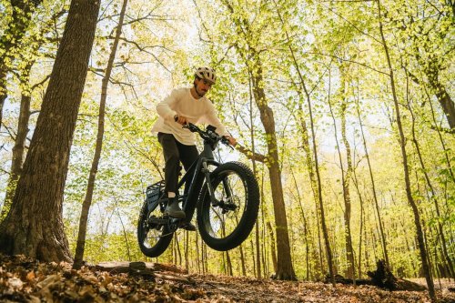 Lectric just launched a new e-bike company, and it could shake up the premium market