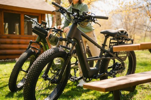 Lectric just launched a new e-bike company, and it could shake up the premium market
