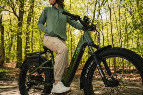 Lectric eBikes hits $1 billion in sales, surpasses 750,000 e-bikes