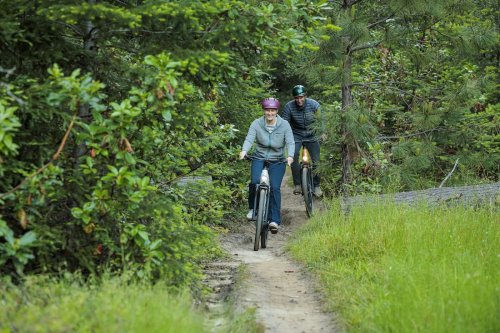 Gazelle launches new 28 MPH e-bikes, bringing Dutch comfort to fast American riders