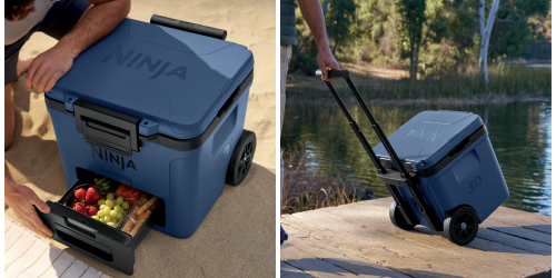 Smart, Segway Myon smart e-bike first discount to $1,550, ECOVACS Goat O1000 RTK robot mower bundle $699, Lectric, Bluetti, more