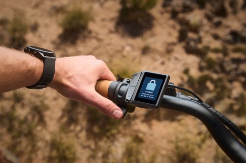 Trek targets the fat tire e-bike boom with its new throttle-enabled Borrego+