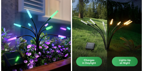 Lectric Labor Day e-bike sale offers up to $694 savings + price cuts, EcoFlow 4,096Wh power station $2,549 in flash sale, more