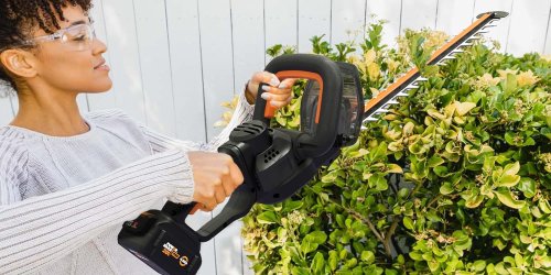 Segway Navimow X430 robot mower $2,249 in Labor Day Sale, EcoFlow Monthly Madness power station flash sale, Worx, EVs, more