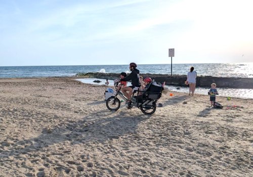 This family of four put 1,000 km on a cargo e-bike instead of buying a second car