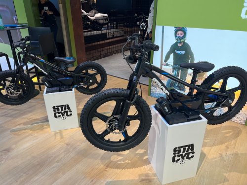 The one company that sells 70% of all electric motorcycles