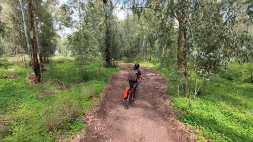 I took a city e-bike out extreme off-roading. Here's what happened