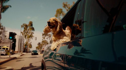 Rivian Pet Cam launches on R2 in update 2026.36, but R1 is left out