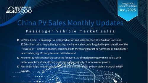 【December 2025】China Passenger Vehicle Sales Analysis