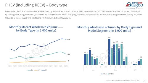 【December 2025】China Passenger Vehicle Sales Analysis