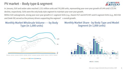 【January 2026】China Passenger Vehicle Sales Analysis