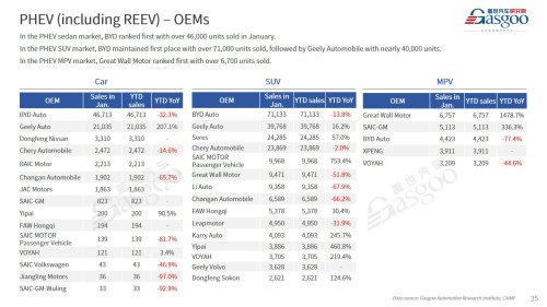 【January 2026】China Passenger Vehicle Sales Analysis