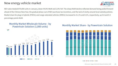 【January 2026】China Passenger Vehicle Sales Analysis