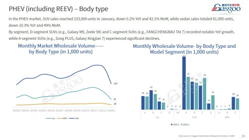 【January 2026】China Passenger Vehicle Sales Analysis