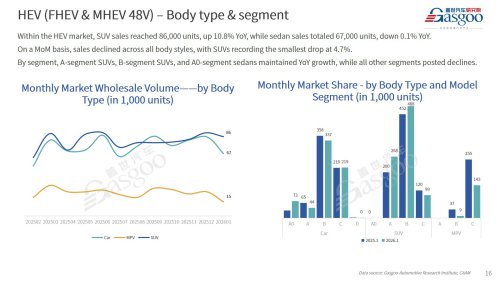【January 2026】China Passenger Vehicle Sales Analysis