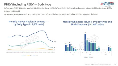 【February 2026】China Passenger Vehicle Sales Analysis