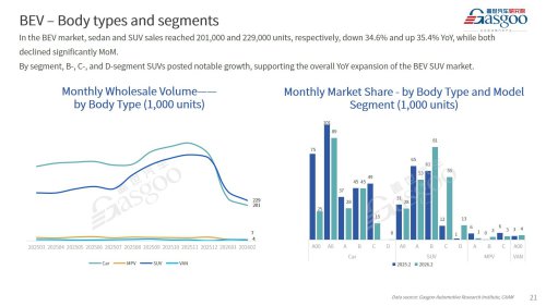 【February 2026】China Passenger Vehicle Sales Analysis