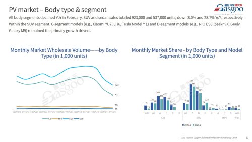 【February 2026】China Passenger Vehicle Sales Analysis