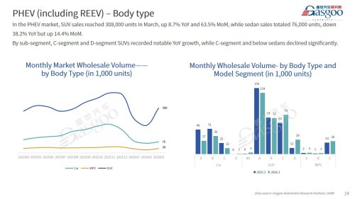 【March 2026】China Passenger Vehicle Sales Analysis