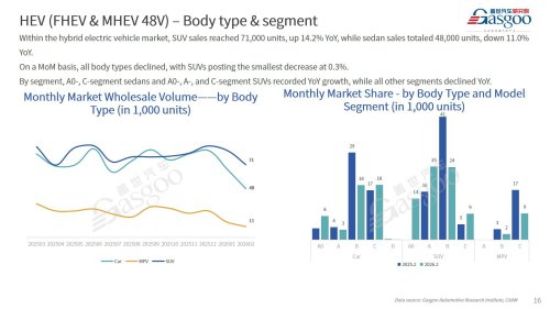 【February 2026】China Passenger Vehicle Sales Analysis