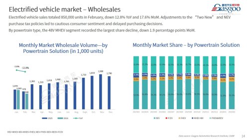 【February 2026】China Passenger Vehicle Sales Analysis