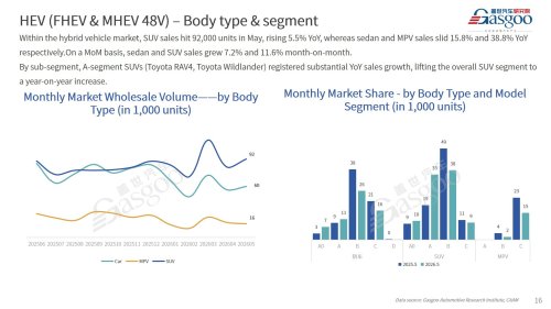 【May 2026】China Passenger Vehicle Sales Analysis