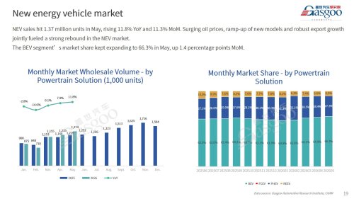 【May 2026】China Passenger Vehicle Sales Analysis
