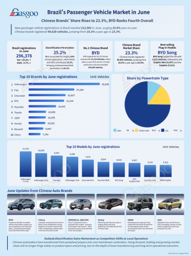 Brazil's Passenger Vehicle Market in June: Chinese Brands' Share Rises to 23.3%, BYD Ranks Fourth Overall