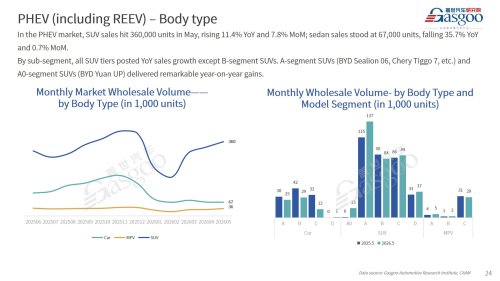 【May 2026】China Passenger Vehicle Sales Analysis