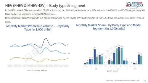 【July 2026】China Passenger Vehicle Sales Analysis