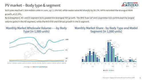 【June 2026】China Passenger Vehicle Sales Analysis