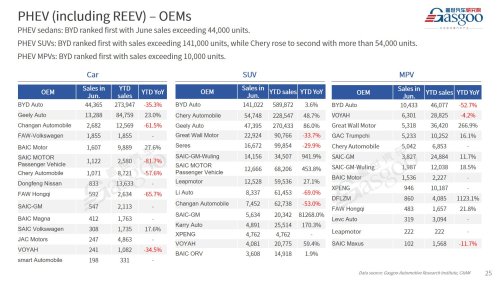 【June 2026】China Passenger Vehicle Sales Analysis