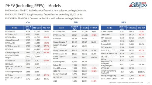 【June 2026】China Passenger Vehicle Sales Analysis