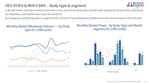 【June 2026】China Passenger Vehicle Sales Analysis