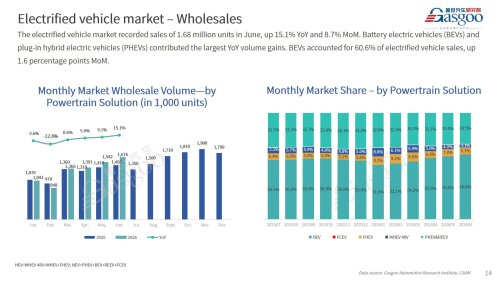 【June 2026】China Passenger Vehicle Sales Analysis