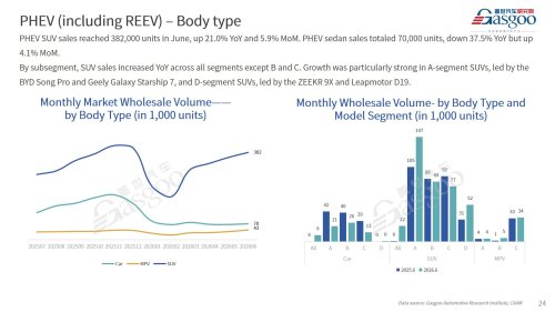 【June 2026】China Passenger Vehicle Sales Analysis