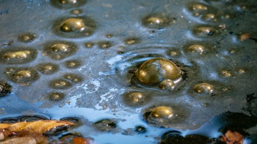 Next-Best Thing to a Cow-Gas Catalyst?