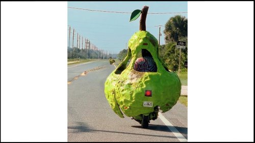 Meet the Florida Man Driving a Pear-Shaped Moped Across the United States