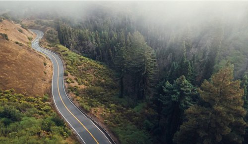 2026 Performance Car of the Year: Best Sports Car of 2026 Reveal