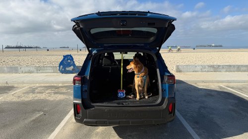 We Found Some Fun Easter Eggs in Our 2026 Subaru Outback Wilderness