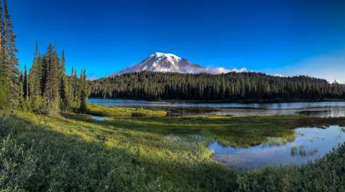 The Pacific Northwest Has Some of Most Special Car Culture in the Country