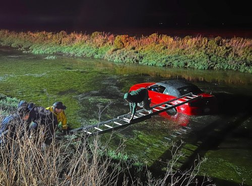 Ford, Ford Mustang, BAC, Ford Mustang Driver Flies Into Pond and Falls Asleep, Then Blows 0.25% BAC: Police