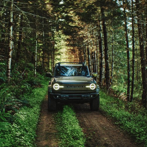 Ford, Ford Bronco, The Ford Bronco Almost Had a Fixed Roof, But Open-Air Fun Was Too Important