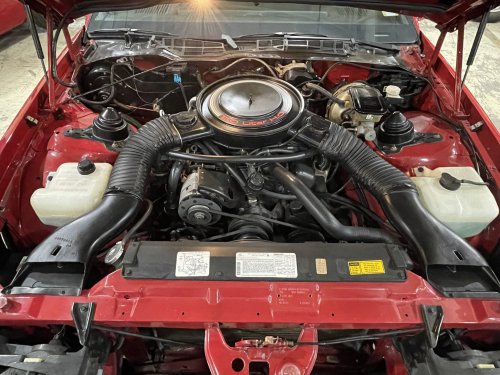 New Camaro? We Got Your New Camaro Right Here