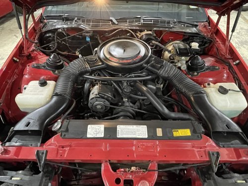 New Camaro? We Got Your New Camaro Right Here