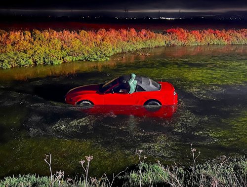 Ford Mustang Driver Flies Into Pond and Falls Asleep, Then Blows 0.25% BAC: Police